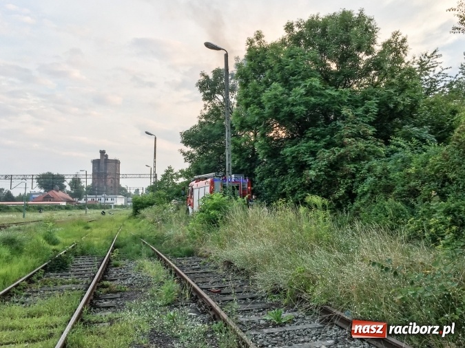 Zdjęcie w galerii na portalu naszraciborz.pl: Pożar pustostanu przy ul. Kościuszki w Raciborzu wiadomości z regionu