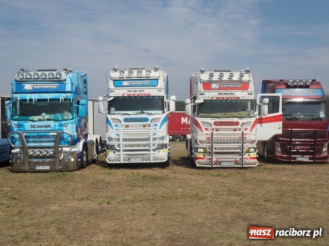 Zdjęcie w galerii na portalu naszraciborz.pl: Tłumy na zlocie Master Truck 2016 wiadomości z regionu