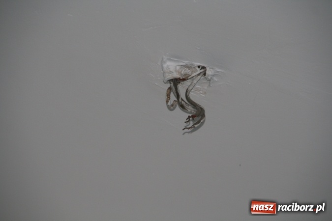 Zdjęcie w galerii na portalu naszraciborz.pl: Planowali, że będą żyć w lepszych warunkach, ale na planach się zakończyło  wiadomości z regionu