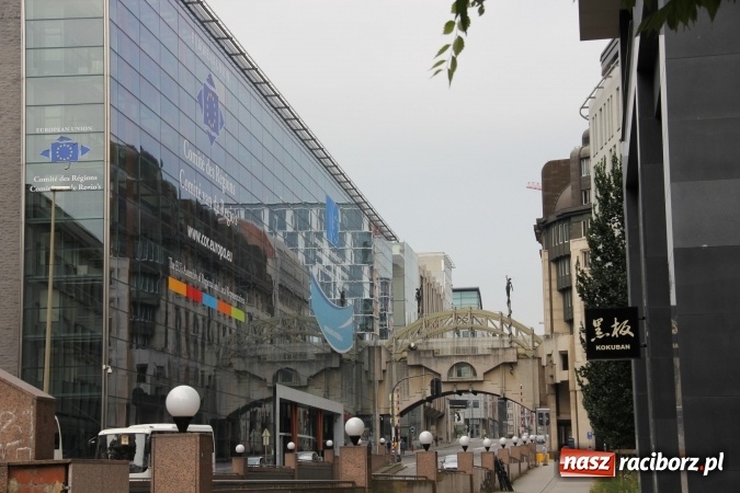 Zdjęcie w galerii na portalu naszraciborz.pl: Tworkauer Eiche na EUROPEADE 2016  wiadomości z regionu