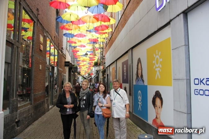 Zdjęcie w galerii na portalu naszraciborz.pl: Tworkauer Eiche na EUROPEADE 2016  wiadomości z regionu