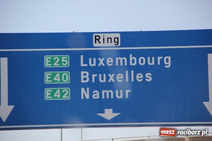 Zdjęcie w galerii na portalu naszraciborz.pl: Tworkauer Eiche na EUROPEADE 2016  wiadomości z regionu