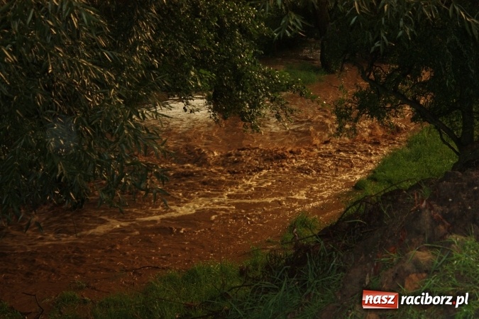 Zdjęcie w galerii na portalu naszraciborz.pl: Niewielki strumyk w Brzeźnicy zamienił się po burzy w rwącą rzekę wiadomości z regionu
