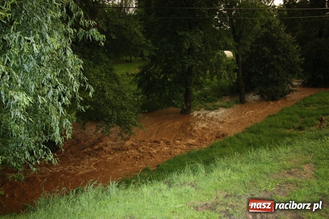 Zdjęcie w galerii na portalu naszraciborz.pl: Niewielki strumyk w Brzeźnicy zamienił się po burzy w rwącą rzekę wiadomości z regionu
