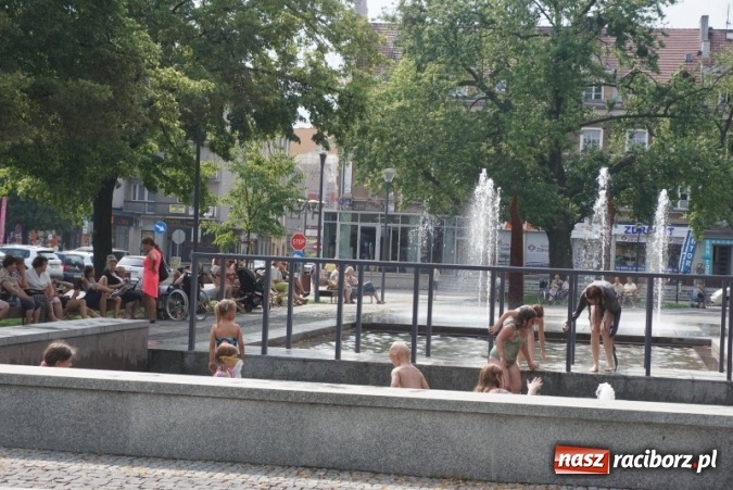 Zdjęcie w galerii na portalu naszraciborz.pl: Racibórz - miejsce dobre dla ludzi. Przy fontannach można teraz leżakować! wiadomości z regionu