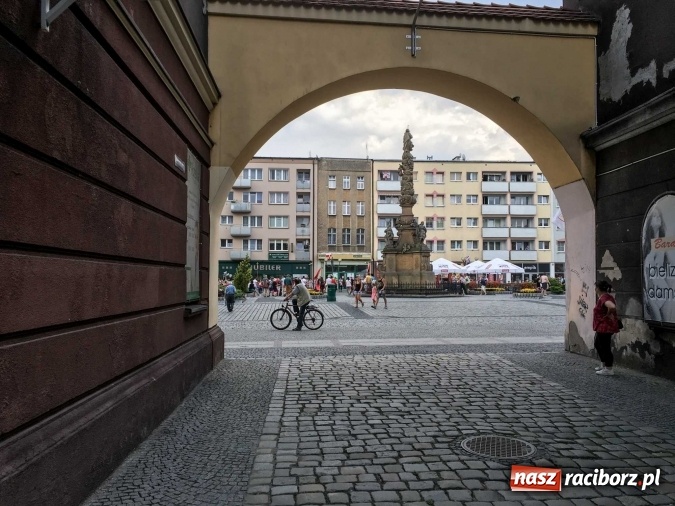 Zdjęcie w galerii na portalu naszraciborz.pl: Przebiegły jak wąż, pokorny jak gołąb  wiadomości z regionu
