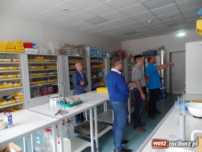 Zdjęcie w galerii na portalu naszraciborz.pl: Raciborzanie przywieźli z igrzysk w Rendsburgu worek medali wiadomości z regionu