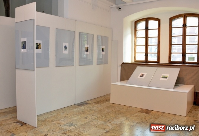 Zdjęcie w galerii na portalu naszraciborz.pl: Malarstwo i grafika Eckarda Alkera od wczoraj w raciborskim Muzeum  wiadomości z regionu