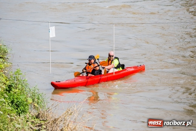 Zdjęcie w galerii na portalu naszraciborz.pl: Zawody w slalomie kajakowym na rzece Odrze wiadomości z regionu