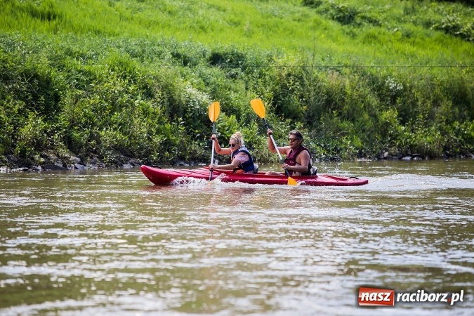 Zdjęcie w galerii na portalu naszraciborz.pl: Zawody w slalomie kajakowym na rzece Odrze wiadomości z regionu