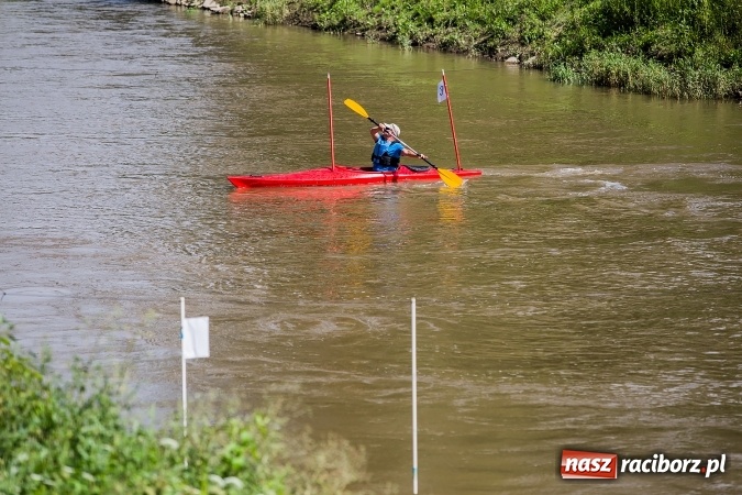 Zdjęcie w galerii na portalu naszraciborz.pl: Zawody w slalomie kajakowym na rzece Odrze wiadomości z regionu