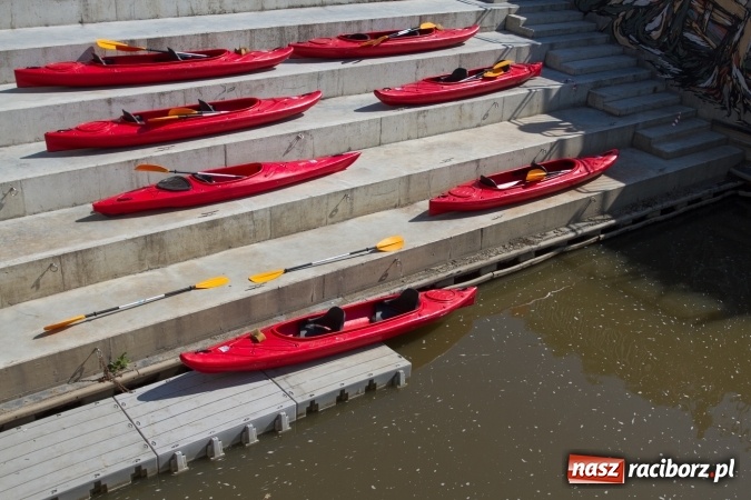 Zdjęcie w galerii na portalu naszraciborz.pl: Pływackie sprinty na Odrze FOTO i wyniki  wiadomości z regionu