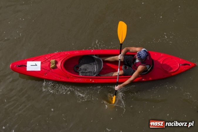 Zdjęcie w galerii na portalu naszraciborz.pl: Pływackie sprinty na Odrze FOTO i wyniki  wiadomości z regionu