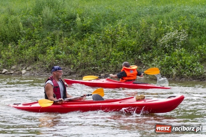 Zdjęcie w galerii na portalu naszraciborz.pl: Pływackie sprinty na Odrze FOTO i wyniki  wiadomości z regionu