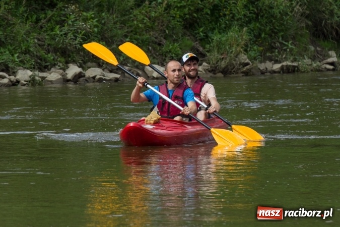 Zdjęcie w galerii na portalu naszraciborz.pl: Pływackie sprinty na Odrze FOTO i wyniki  wiadomości z regionu