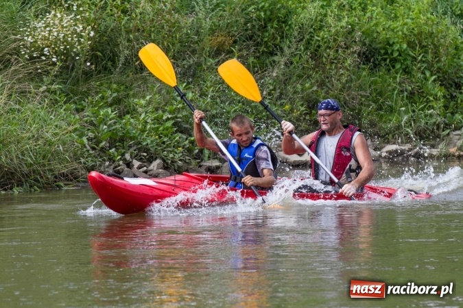 Zdjęcie w galerii na portalu naszraciborz.pl: Pływackie sprinty na Odrze FOTO i wyniki  wiadomości z regionu