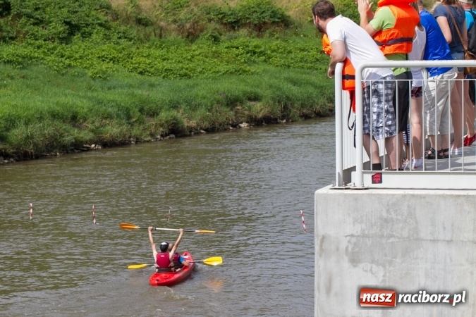 Zdjęcie w galerii na portalu naszraciborz.pl: Pływackie sprinty na Odrze FOTO i wyniki  wiadomości z regionu