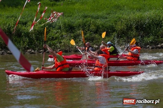 Zdjęcie w galerii na portalu naszraciborz.pl: Pływackie sprinty na Odrze FOTO i wyniki  wiadomości z regionu