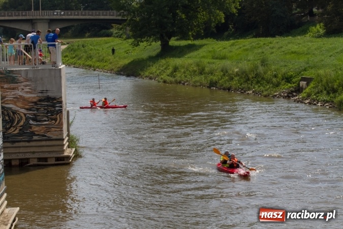 Zdjęcie w galerii na portalu naszraciborz.pl: Pływackie sprinty na Odrze FOTO i wyniki  wiadomości z regionu