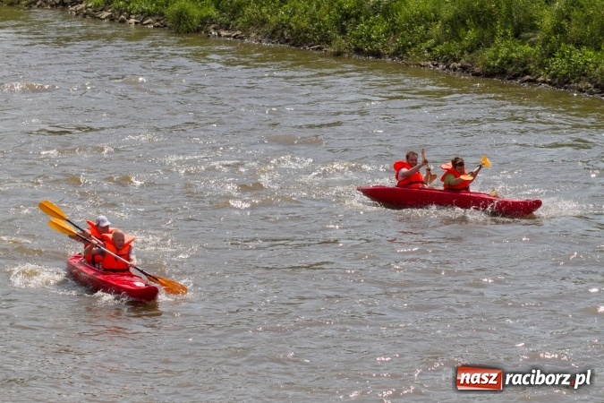 Zdjęcie w galerii na portalu naszraciborz.pl: Pływackie sprinty na Odrze FOTO i wyniki  wiadomości z regionu
