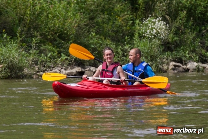 Zdjęcie w galerii na portalu naszraciborz.pl: Pływackie sprinty na Odrze FOTO i wyniki  wiadomości z regionu