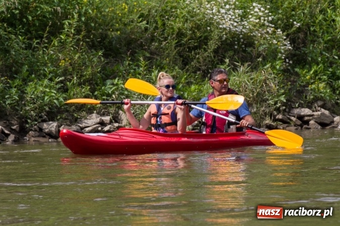 Zdjęcie w galerii na portalu naszraciborz.pl: Pływackie sprinty na Odrze FOTO i wyniki  wiadomości z regionu