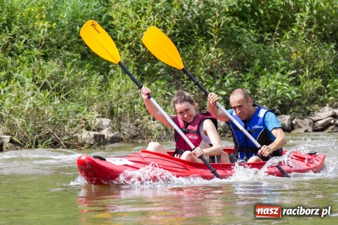 Zdjęcie w galerii na portalu naszraciborz.pl: Pływackie sprinty na Odrze FOTO i wyniki  wiadomości z regionu