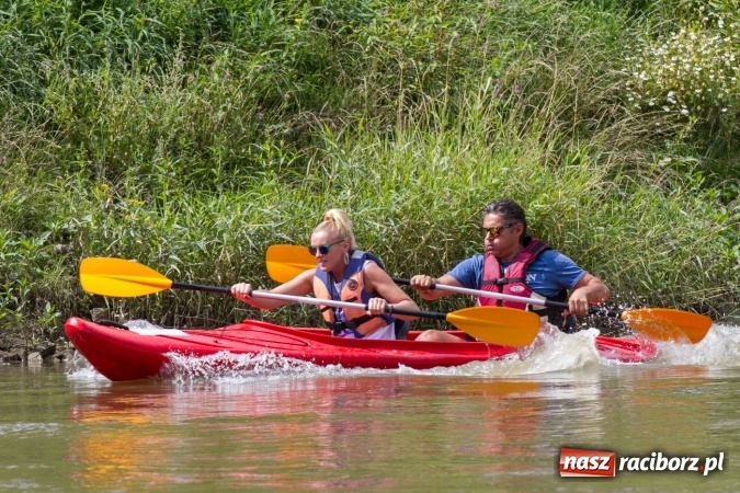 Zdjęcie w galerii na portalu naszraciborz.pl: Pływackie sprinty na Odrze FOTO i wyniki  wiadomości z regionu