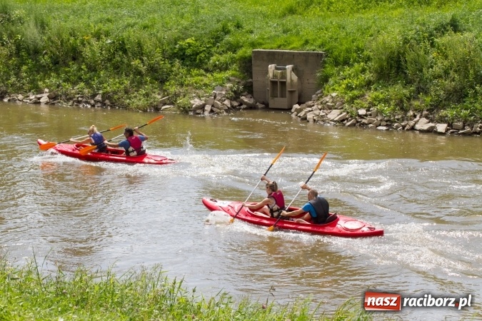 Zdjęcie w galerii na portalu naszraciborz.pl: Pływackie sprinty na Odrze FOTO i wyniki  wiadomości z regionu