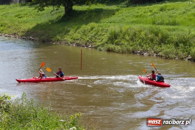 Zdjęcie w galerii na portalu naszraciborz.pl: Pływackie sprinty na Odrze FOTO i wyniki  wiadomości z regionu