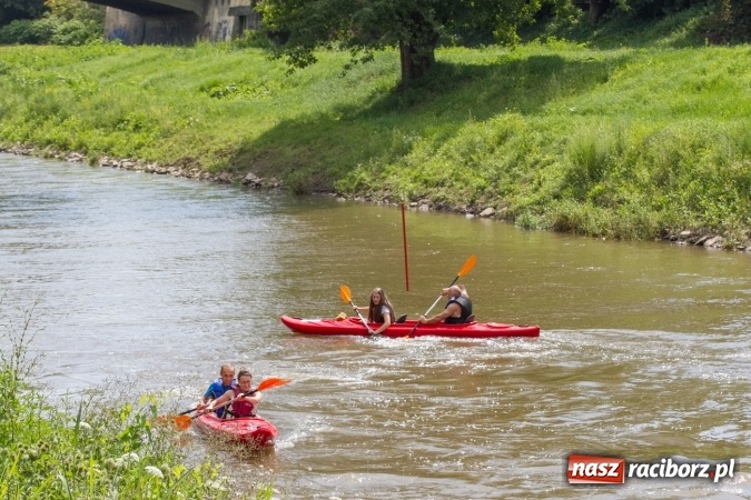 Zdjęcie w galerii na portalu naszraciborz.pl: Pływackie sprinty na Odrze FOTO i wyniki  wiadomości z regionu