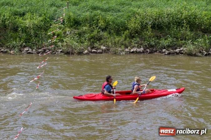 Zdjęcie w galerii na portalu naszraciborz.pl: Pływackie sprinty na Odrze FOTO i wyniki  wiadomości z regionu