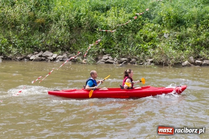 Zdjęcie w galerii na portalu naszraciborz.pl: Pływackie sprinty na Odrze FOTO i wyniki  wiadomości z regionu