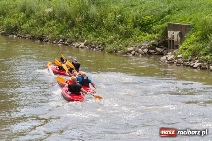 Zdjęcie w galerii na portalu naszraciborz.pl: Pływackie sprinty na Odrze FOTO i wyniki  wiadomości z regionu