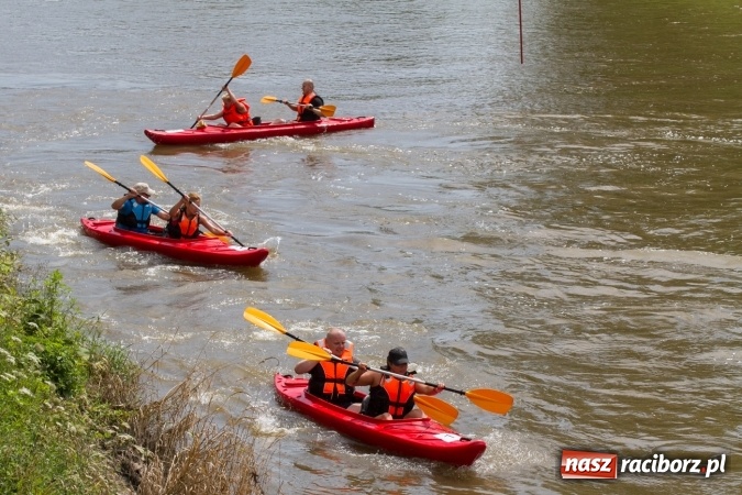 Zdjęcie w galerii na portalu naszraciborz.pl: Pływackie sprinty na Odrze FOTO i wyniki  wiadomości z regionu