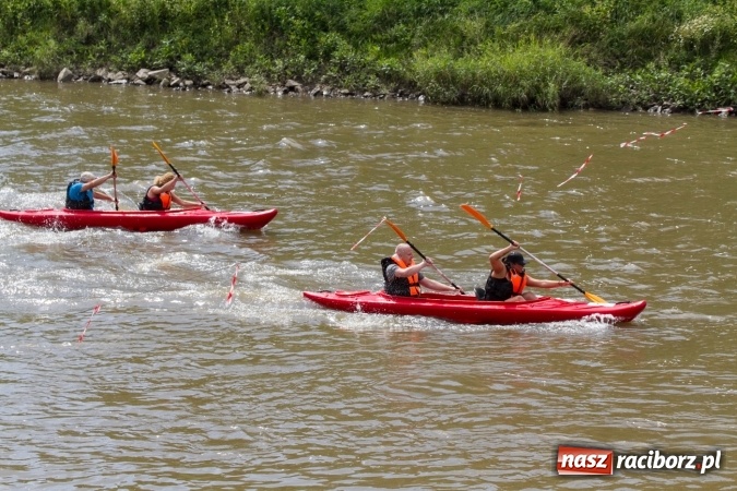 Zdjęcie w galerii na portalu naszraciborz.pl: Pływackie sprinty na Odrze FOTO i wyniki  wiadomości z regionu