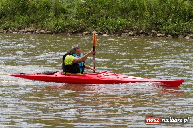 Zdjęcie w galerii na portalu naszraciborz.pl: Pływackie sprinty na Odrze FOTO i wyniki  wiadomości z regionu