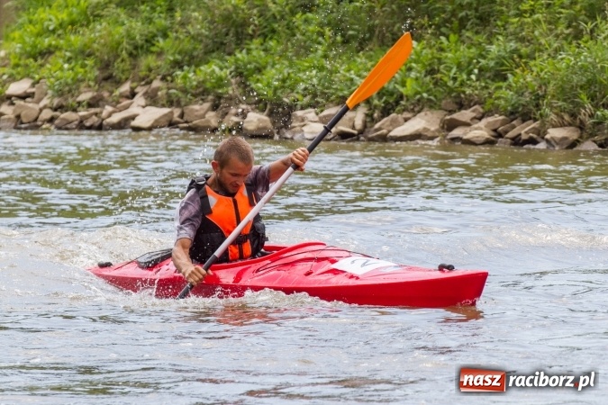Zdjęcie w galerii na portalu naszraciborz.pl: Pływackie sprinty na Odrze FOTO i wyniki  wiadomości z regionu