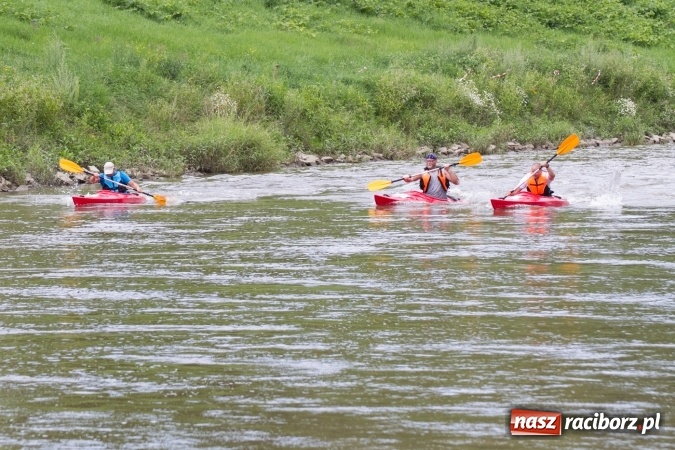 Zdjęcie w galerii na portalu naszraciborz.pl: Pływackie sprinty na Odrze FOTO i wyniki  wiadomości z regionu