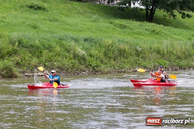 Zdjęcie w galerii na portalu naszraciborz.pl: Pływackie sprinty na Odrze FOTO i wyniki  wiadomości z regionu