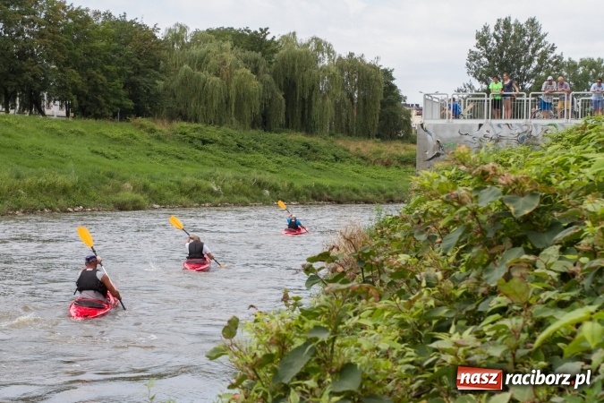 Zdjęcie w galerii na portalu naszraciborz.pl: Pływackie sprinty na Odrze FOTO i wyniki  wiadomości z regionu