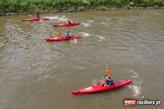 Zdjęcie w galerii na portalu naszraciborz.pl: Pływackie sprinty na Odrze FOTO i wyniki  wiadomości z regionu