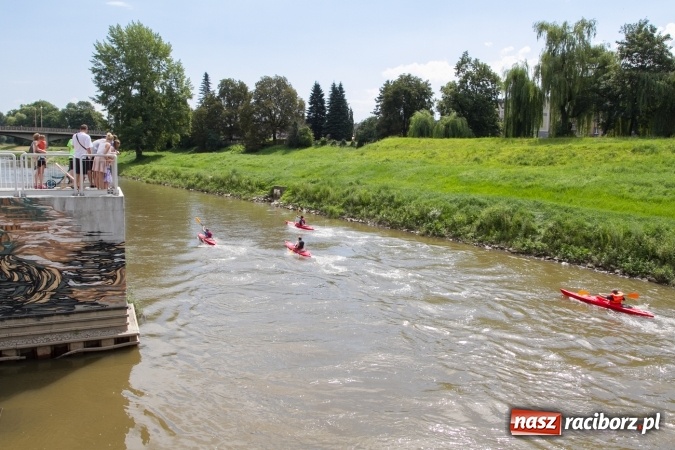 Zdjęcie w galerii na portalu naszraciborz.pl: Pływackie sprinty na Odrze FOTO i wyniki  wiadomości z regionu