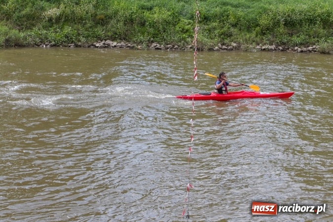 Zdjęcie w galerii na portalu naszraciborz.pl: Pływackie sprinty na Odrze FOTO i wyniki  wiadomości z regionu