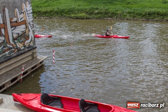Zdjęcie w galerii na portalu naszraciborz.pl: Pływackie sprinty na Odrze FOTO i wyniki  wiadomości z regionu
