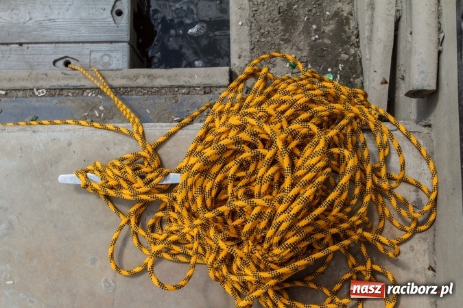 Zdjęcie w galerii na portalu naszraciborz.pl: Pływackie sprinty na Odrze FOTO i wyniki  wiadomości z regionu