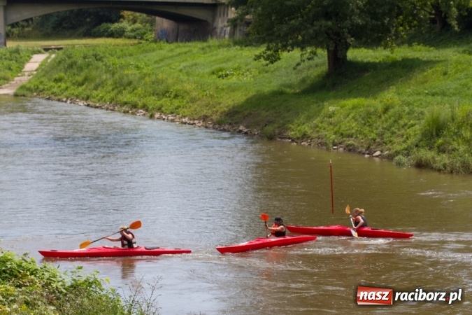 Zdjęcie w galerii na portalu naszraciborz.pl: Pływackie sprinty na Odrze FOTO i wyniki  wiadomości z regionu
