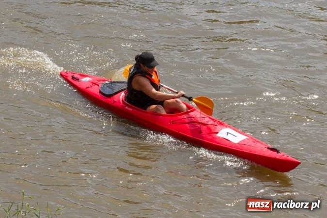 Zdjęcie w galerii na portalu naszraciborz.pl: Pływackie sprinty na Odrze FOTO i wyniki  wiadomości z regionu
