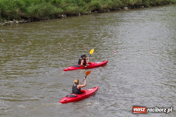 Zdjęcie w galerii na portalu naszraciborz.pl: Pływackie sprinty na Odrze FOTO i wyniki  wiadomości z regionu