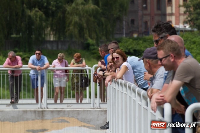 Zdjęcie w galerii na portalu naszraciborz.pl: Pływackie sprinty na Odrze FOTO i wyniki  wiadomości z regionu